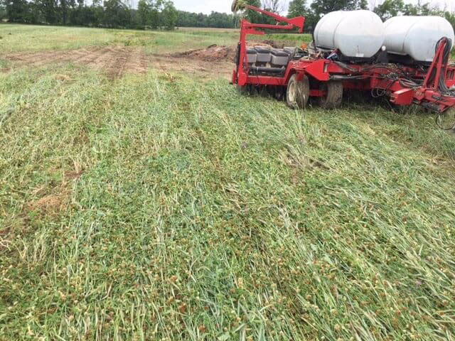 Crimping FIXatioN Cover Crop - Carroll/OH
