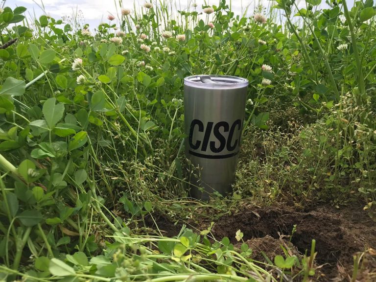 CISCO Seeds Trial - Bristol/IN
