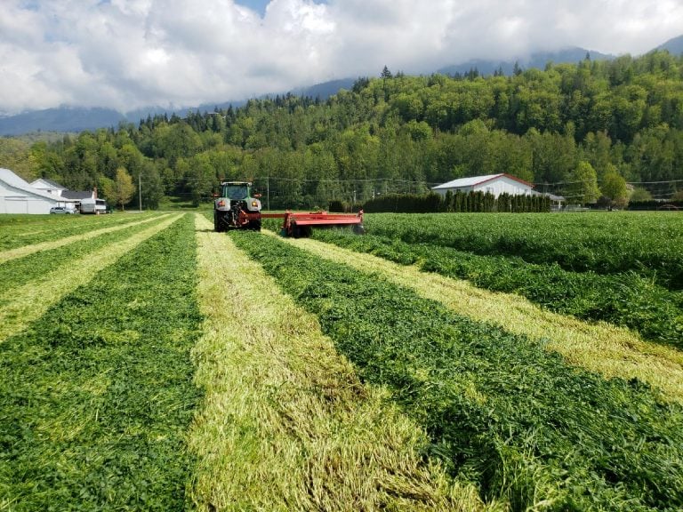 FIxatioN Silage - British Columbia/CAN
