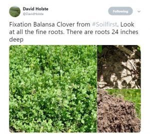 David Holste Tweet Fine Roots