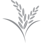 1rice_icon 1rice_icon