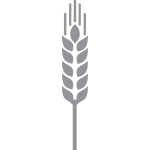 1wheat_icon 1wheat_icon