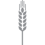 1wheat_icon
